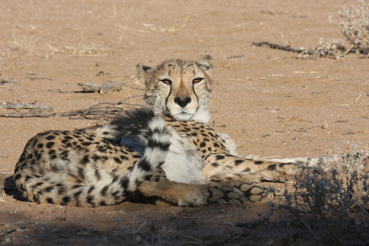 [848] 2016_06_22_02_46_53_Africa_Canon_EOS_40D_IMG__00104.jpg