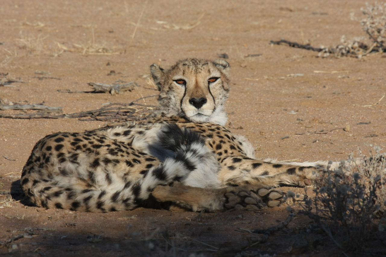 [856] 2016_06_22_02_47_02_Africa_Canon_EOS_40D_IMG__00108.jpg