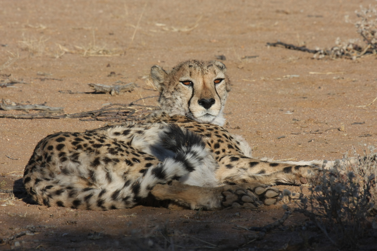 [858] 2016_06_22_02_47_02_Africa_Canon_EOS_40D_IMG__00126.jpg