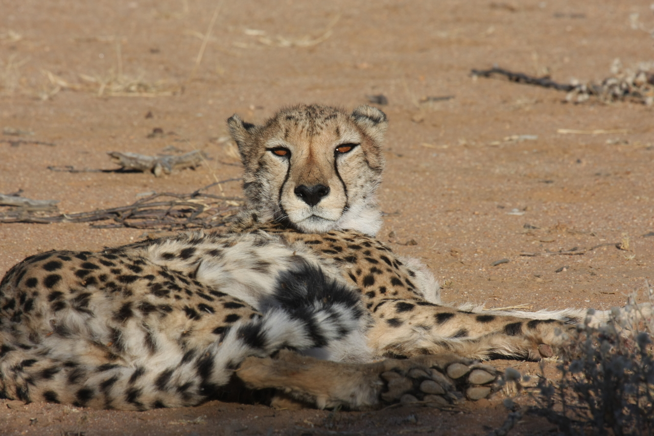 [871] 2016_06_22_02_47_07_Africa_Canon_EOS_40D_IMG__00130.jpg