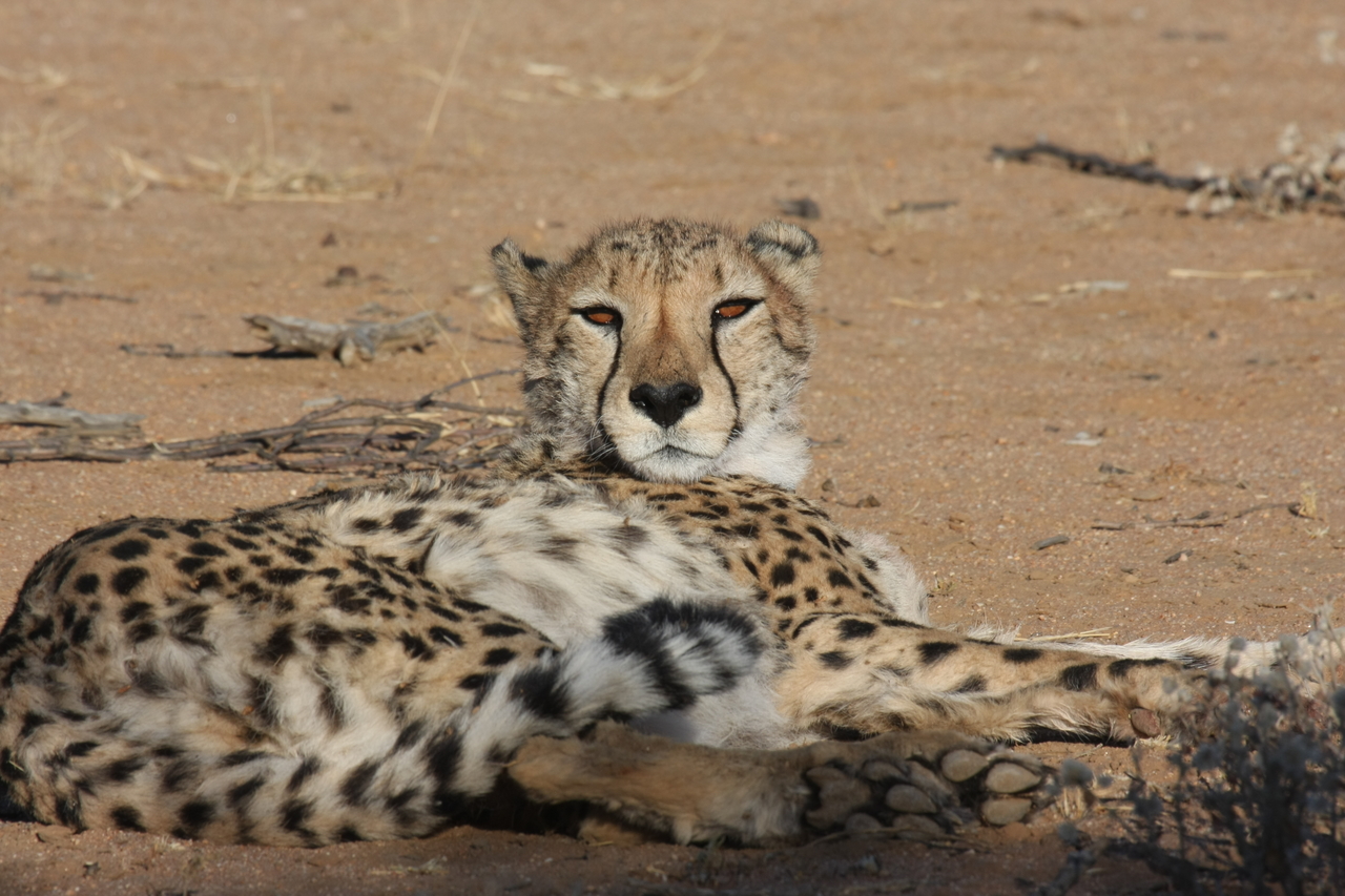 [876] 2016_06_22_02_47_08_Africa_Canon_EOS_40D_IMG__00132.jpg