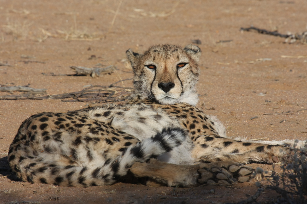 [880] 2016_06_22_02_47_10_Africa_Canon_EOS_40D_IMG__07580.jpg