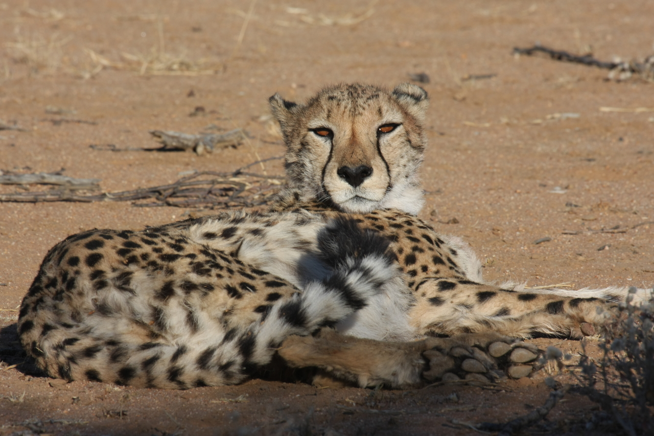 [881] 2016_06_22_02_47_11_Africa_Canon_EOS_40D_IMG__00115.jpg