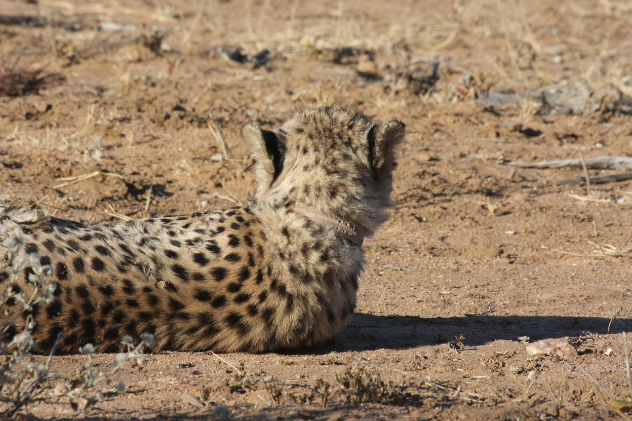 [894] 2016_06_22_02_48_08_Africa_Canon_EOS_40D_IMG__00138.jpg