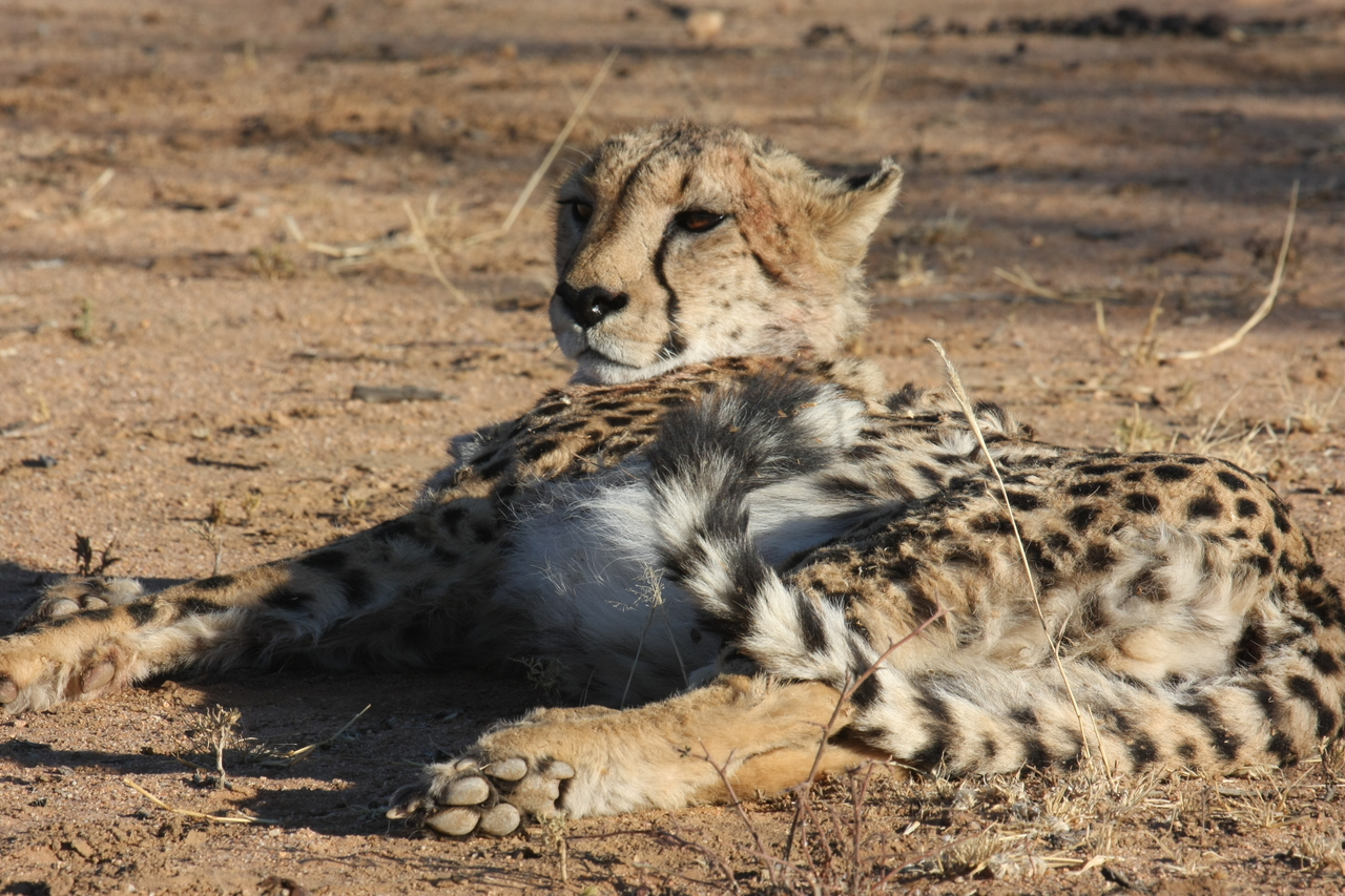 [900] 2016_06_22_02_48_45_Africa_Canon_EOS_40D_IMG__00122.jpg