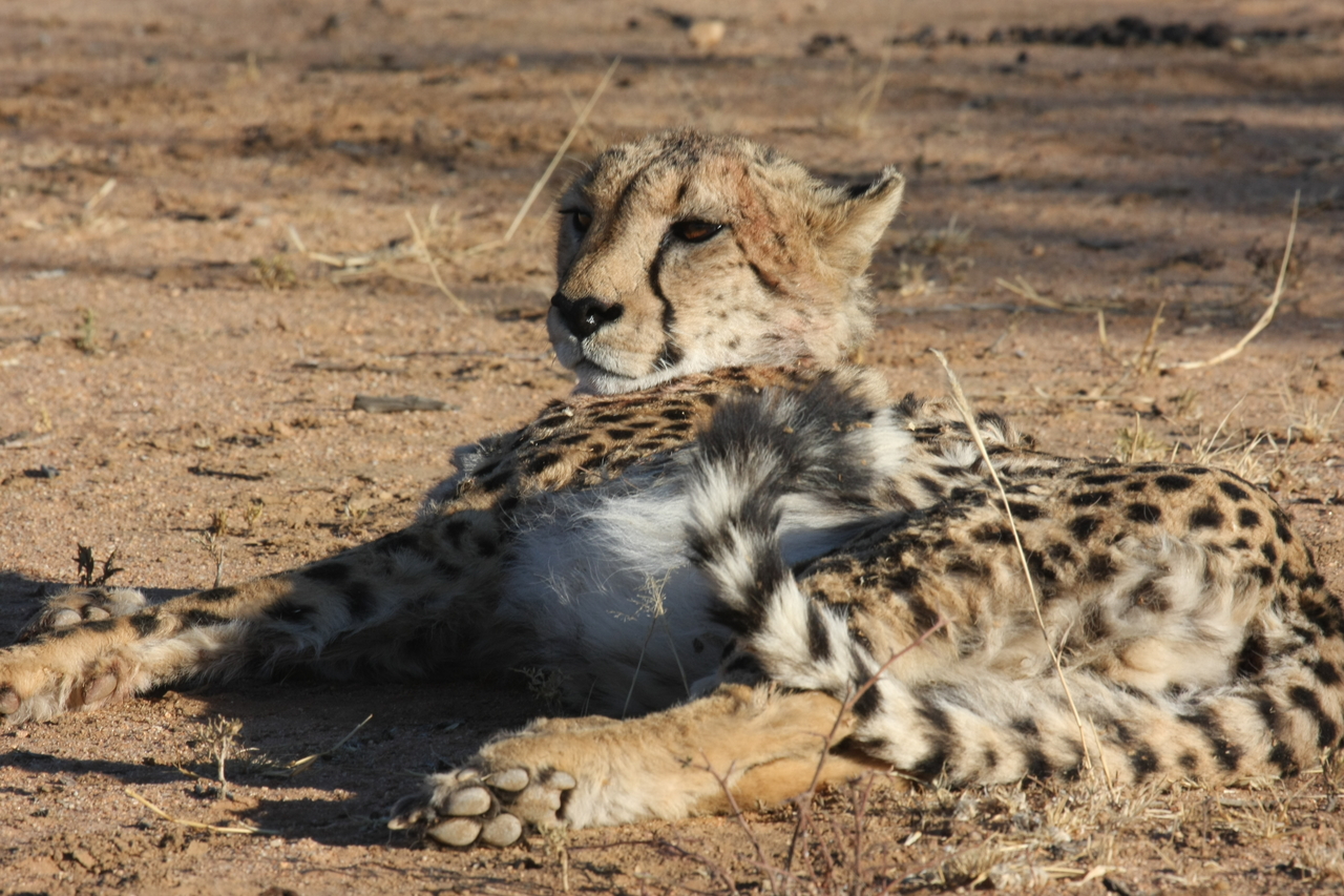 [903] 2016_06_22_02_48_45_Africa_Canon_EOS_40D_IMG__07587.jpg