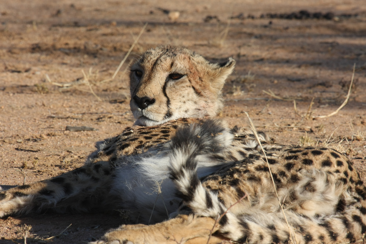 [912] 2016_06_22_02_48_47_Africa_Canon_EOS_40D_IMG__00143.jpg