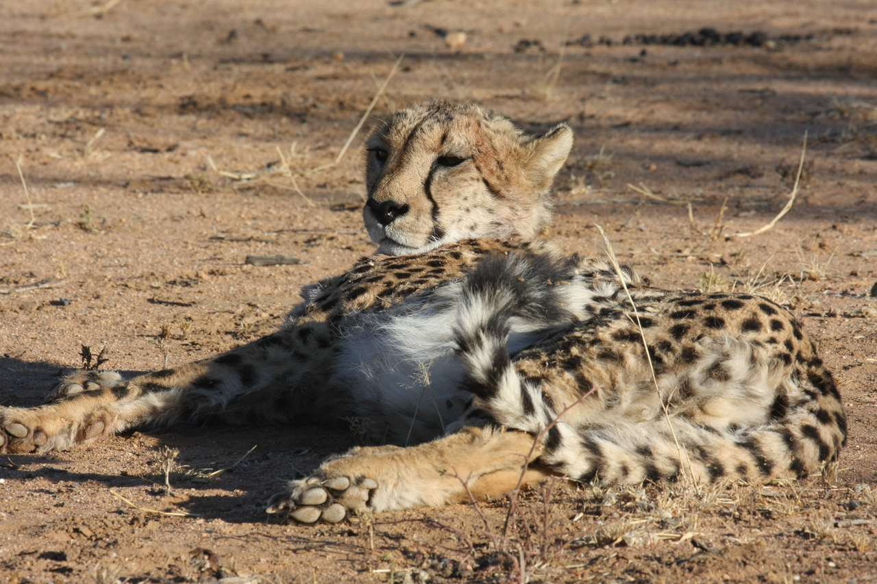 [934] 2016_06_22_02_48_53_Africa_Canon_EOS_40D_IMG__07594.jpg