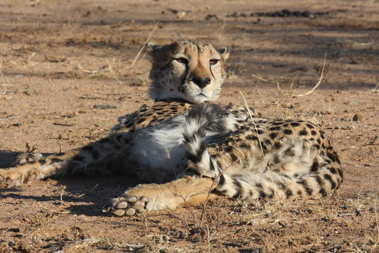 [940] 2016_06_22_02_48_57_Africa_Canon_EOS_40D_IMG__07596.jpg