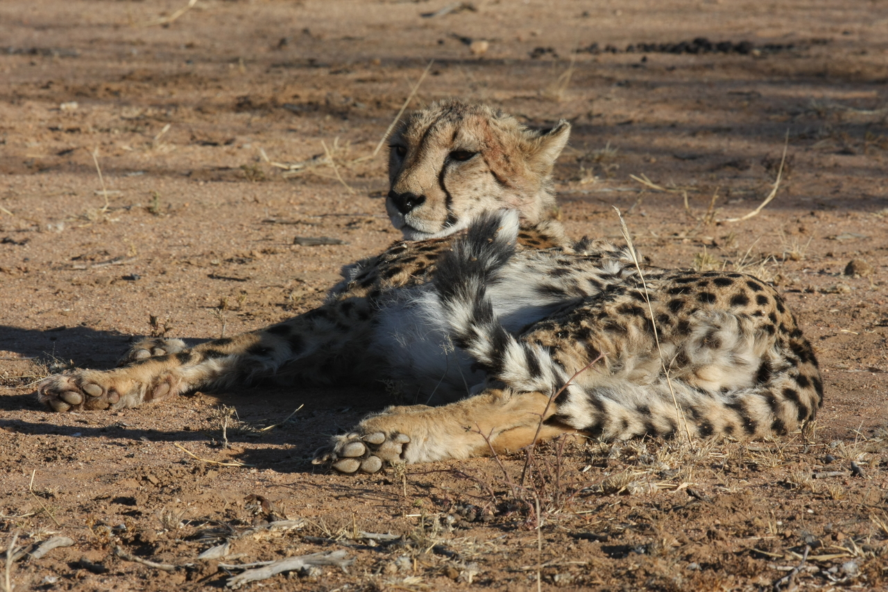 [941] 2016_06_22_02_49_18_Africa_Canon_EOS_40D_IMG__00131.jpg