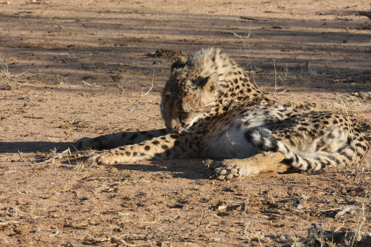 [950] 2016_06_22_02_49_40_Africa_Canon_EOS_40D_IMG__00134.jpg