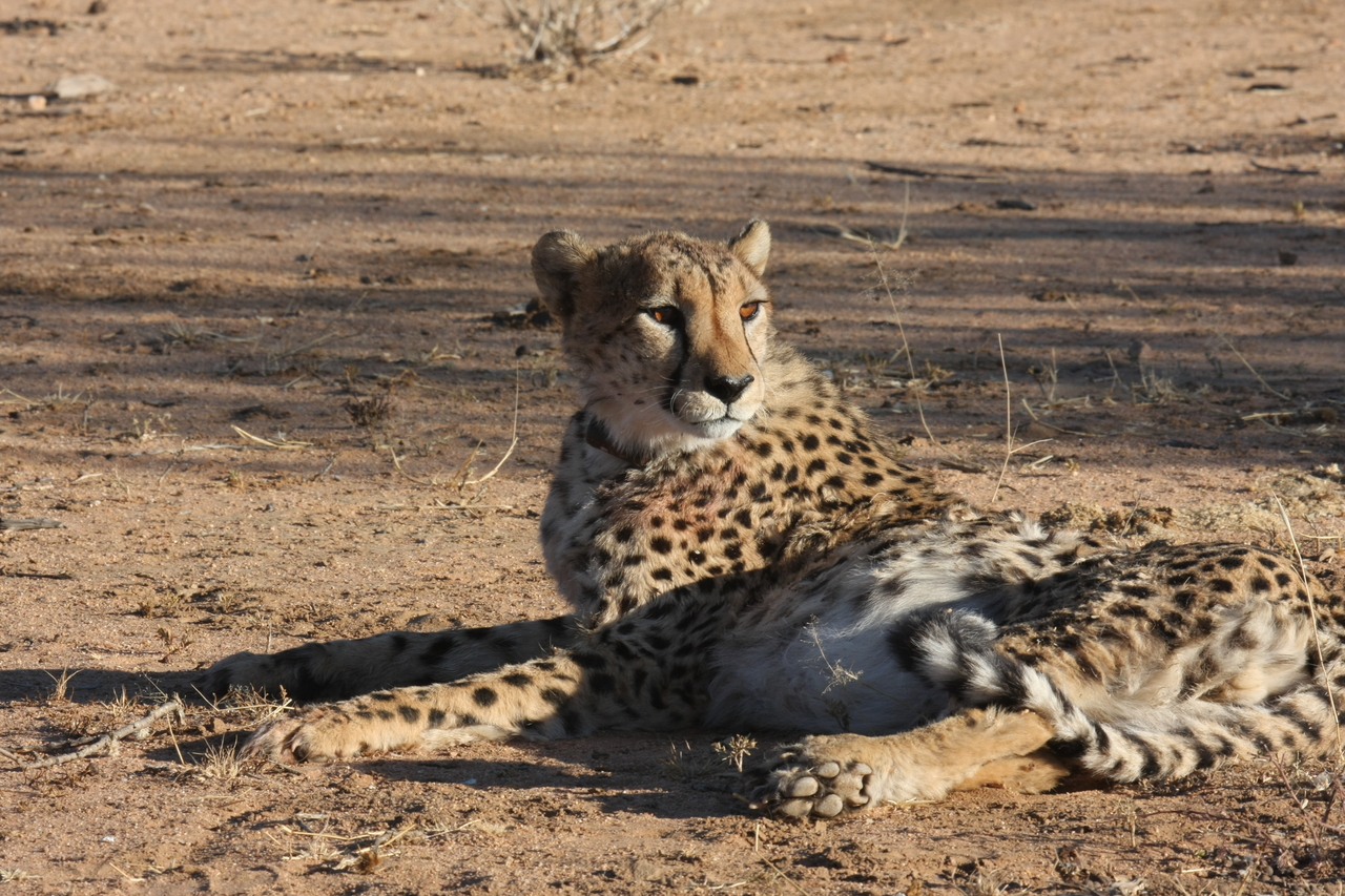 [962] 2016_06_22_02_49_57_Africa_Canon_EOS_40D_IMG__00138.jpg