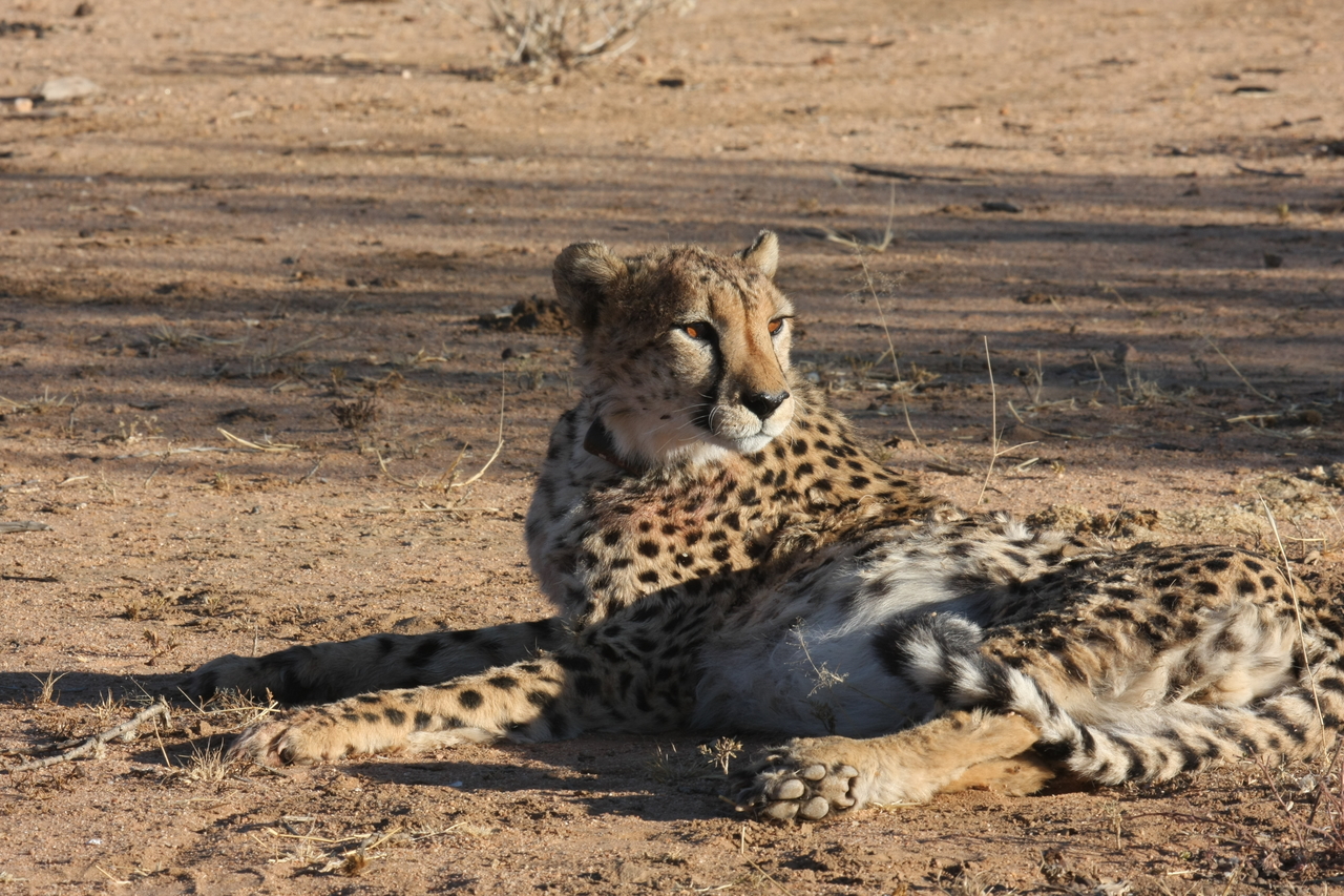 [967] 2016_06_22_02_49_57_Africa_Canon_EOS_40D_IMG__07605.jpg