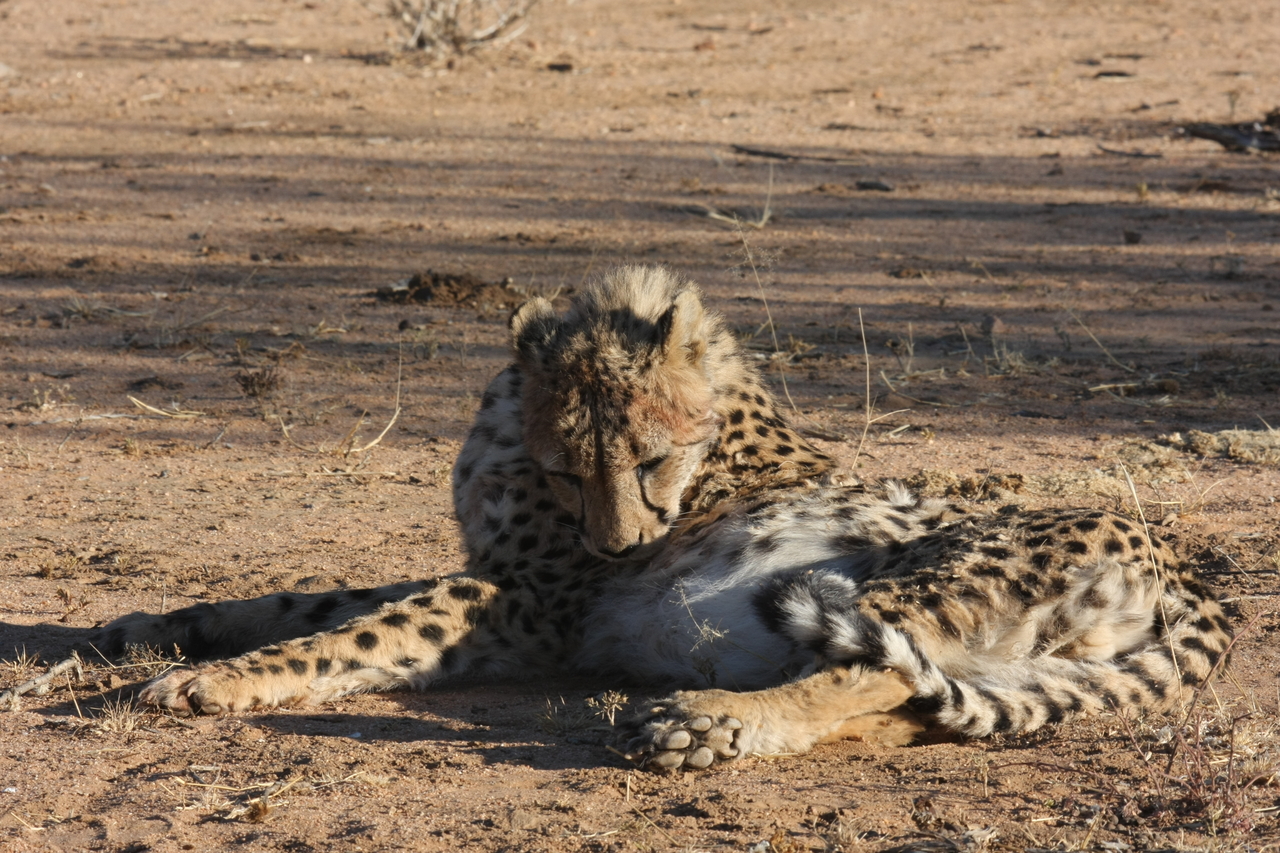 [968] 2016_06_22_02_49_59_Africa_Canon_EOS_40D_IMG__00140.jpg