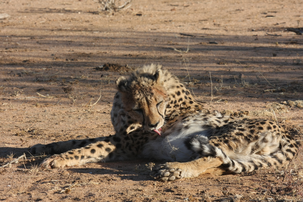 [974] 2016_06_22_02_50_02_Africa_Canon_EOS_40D_IMG__00142.jpg