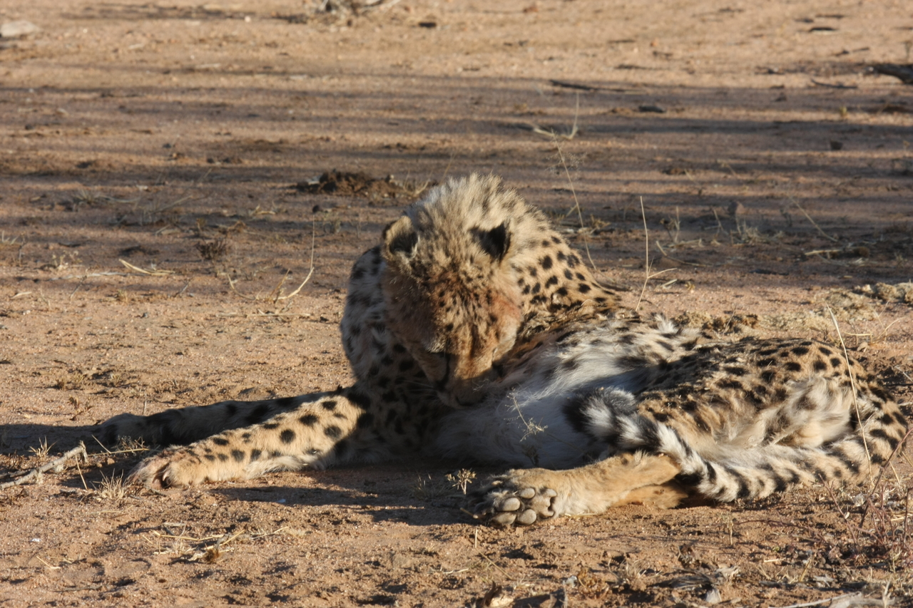 [979] 2016_06_22_02_50_02_Africa_Canon_EOS_40D_IMG__07609.jpg