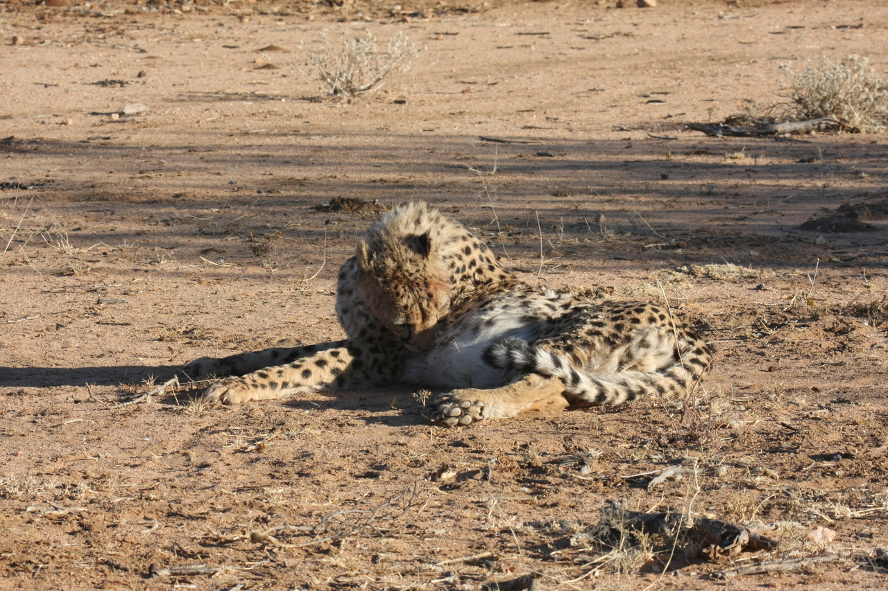 [997] 2016_06_22_02_50_30_Africa_Canon_EOS_40D_IMG__07615.jpg