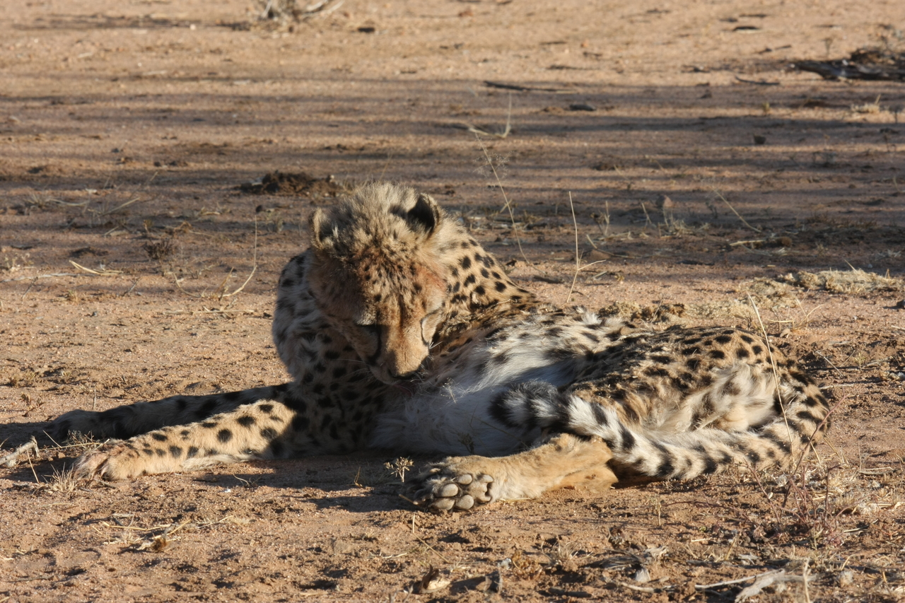 [1000] 2016_06_22_02_50_34_Africa_Canon_EOS_40D_IMG__07616.jpg