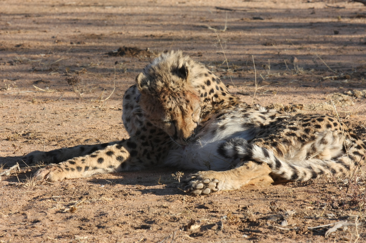 [1001] 2016_06_22_02_50_38_Africa_Canon_EOS_40D_IMG__00151.jpg