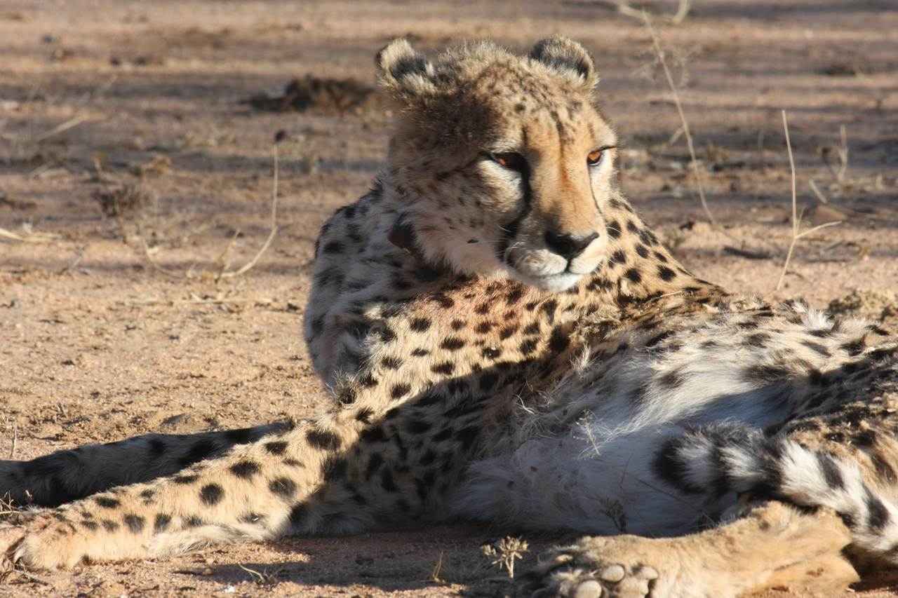 [1017] 2016_06_22_02_50_59_Africa_Canon_EOS_40D_IMG__07621.jpg