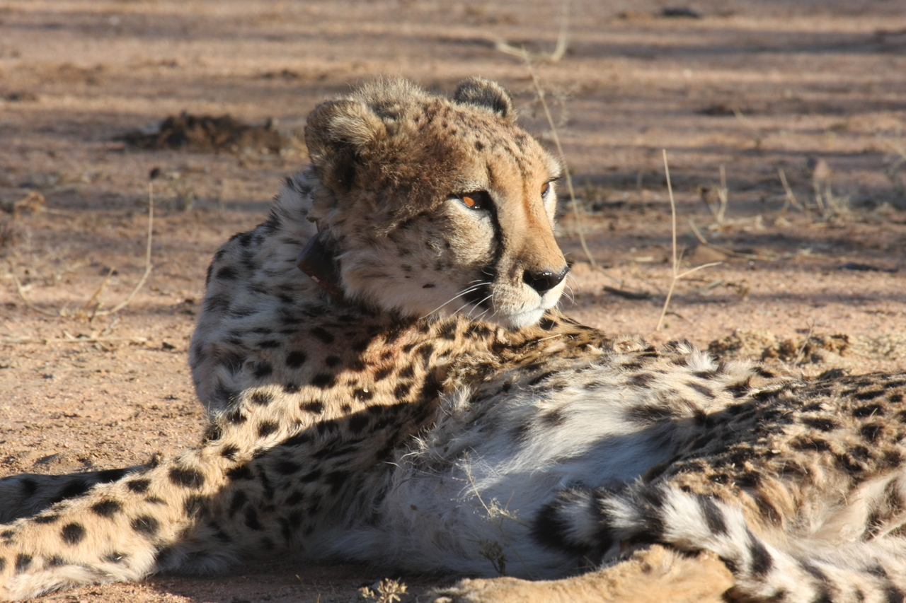 [1036] 2016_06_22_02_51_39_Africa_Canon_EOS_40D_IMG__00181.jpg