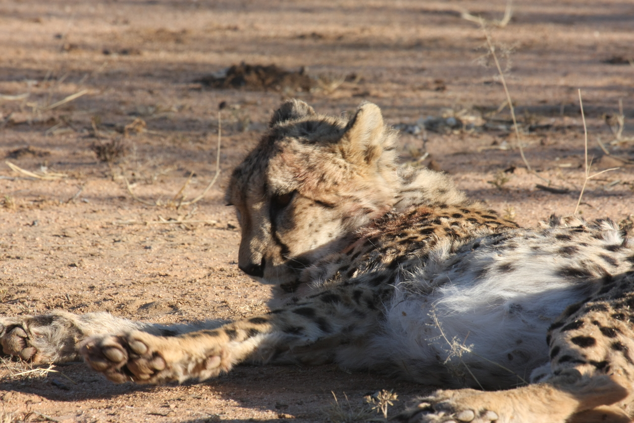 [1041] 2016_06_22_02_51_41_Africa_Canon_EOS_40D_IMG__00183.jpg