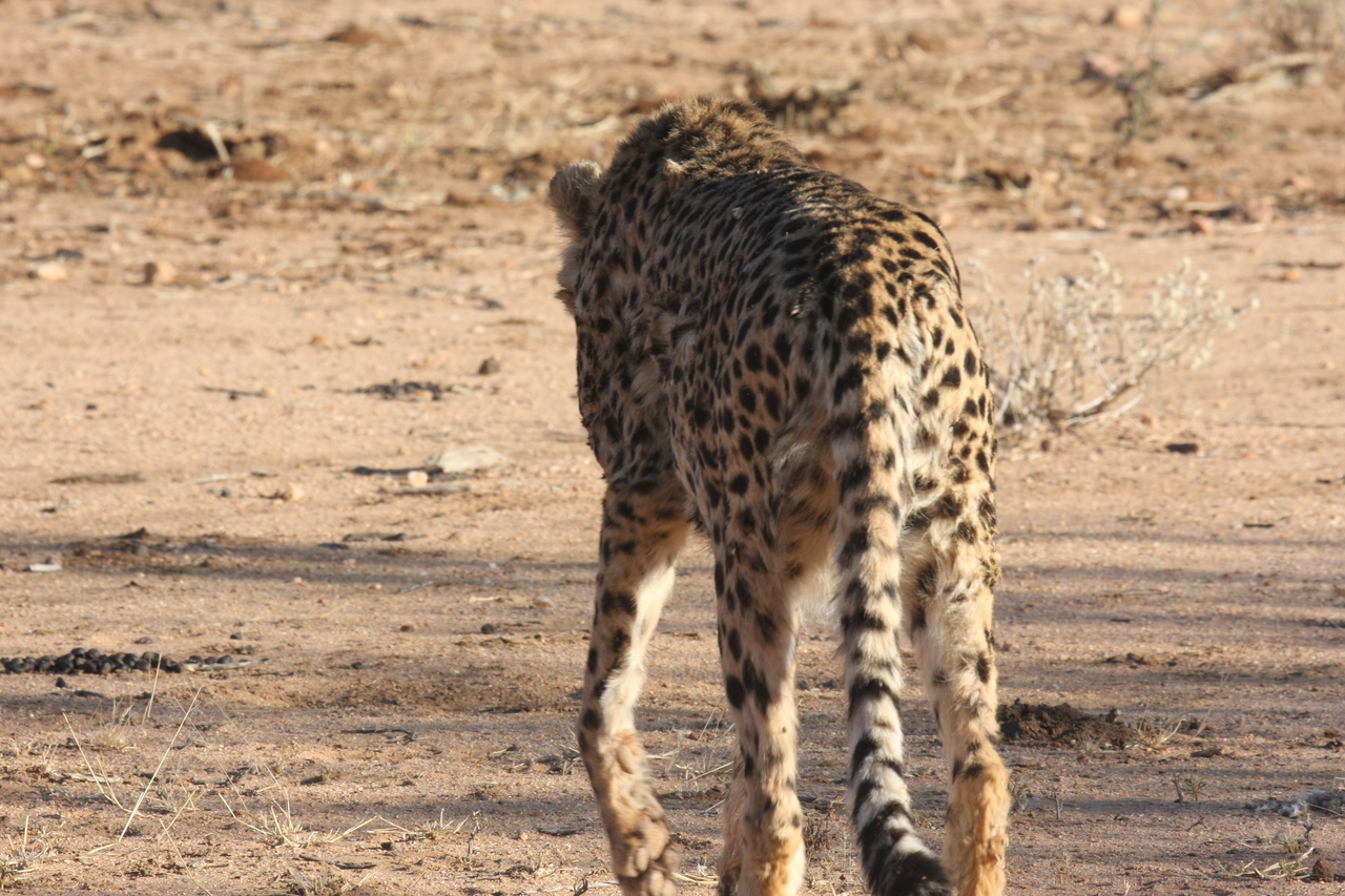 [1043] 2016_06_22_02_51_50_Africa_Canon_EOS_40D_IMG__00165.jpg