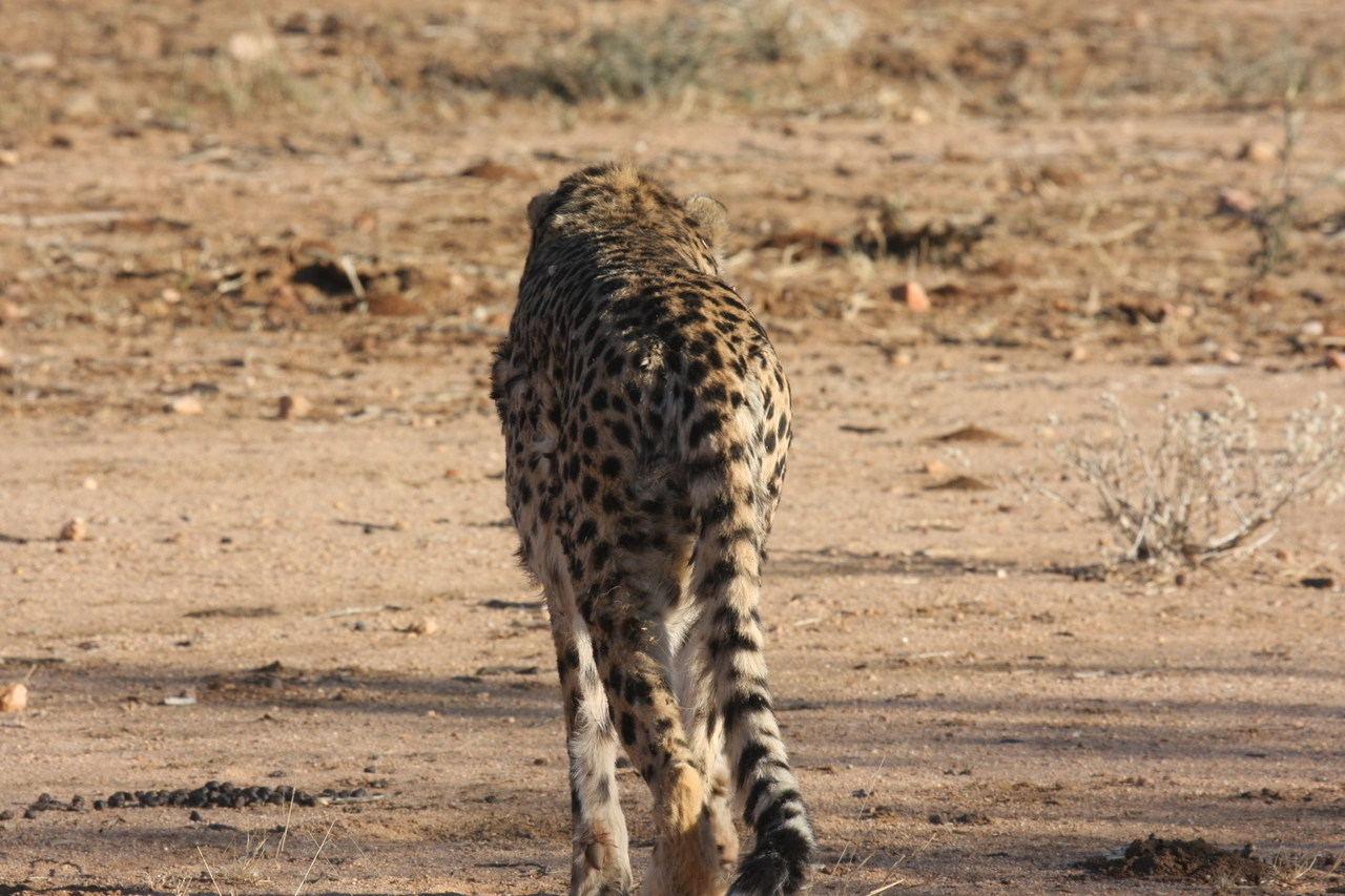 [1050] 2016_06_22_02_51_52_Africa_Canon_EOS_40D_IMG__07632.jpg