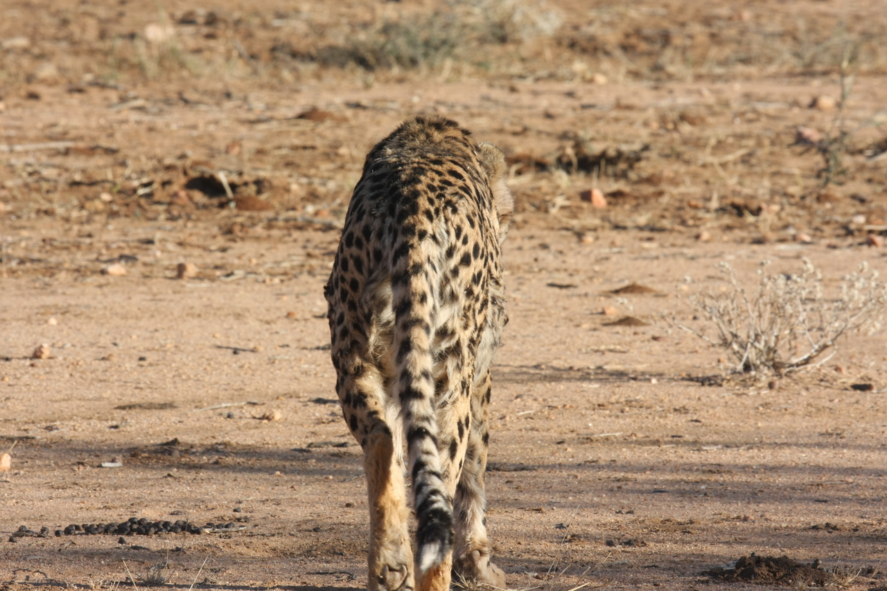 [1051] 2016_06_22_02_51_52_Africa_Canon_EOS_40D_IMG__07633.jpg