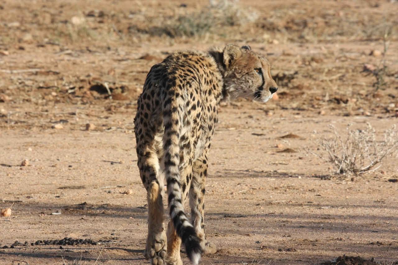 [1053] 2016_06_22_02_51_53_Africa_Canon_EOS_40D_IMG__00187.jpg