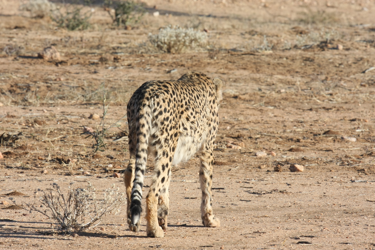 [1069] 2016_06_22_02_52_00_Africa_Canon_EOS_40D_IMG__07639.jpg