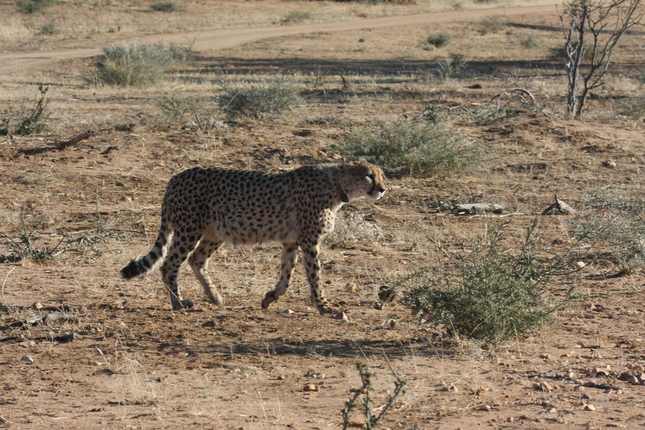 [1205] 2016_06_22_02_56_06_Africa_Canon_EOS_40D_IMG__00209.jpg