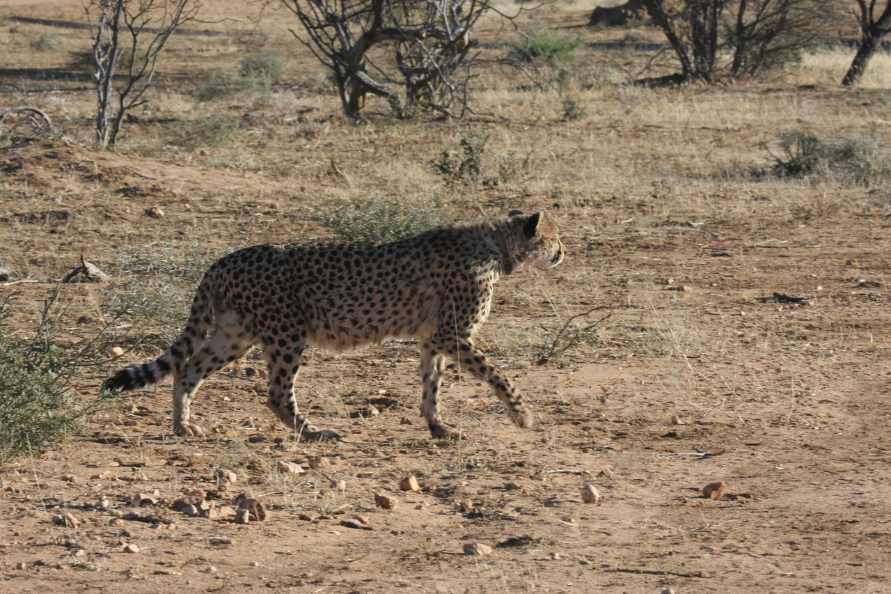 [1215] 2016_06_22_02_56_09_Africa_Canon_EOS_40D_IMG__00231.jpg