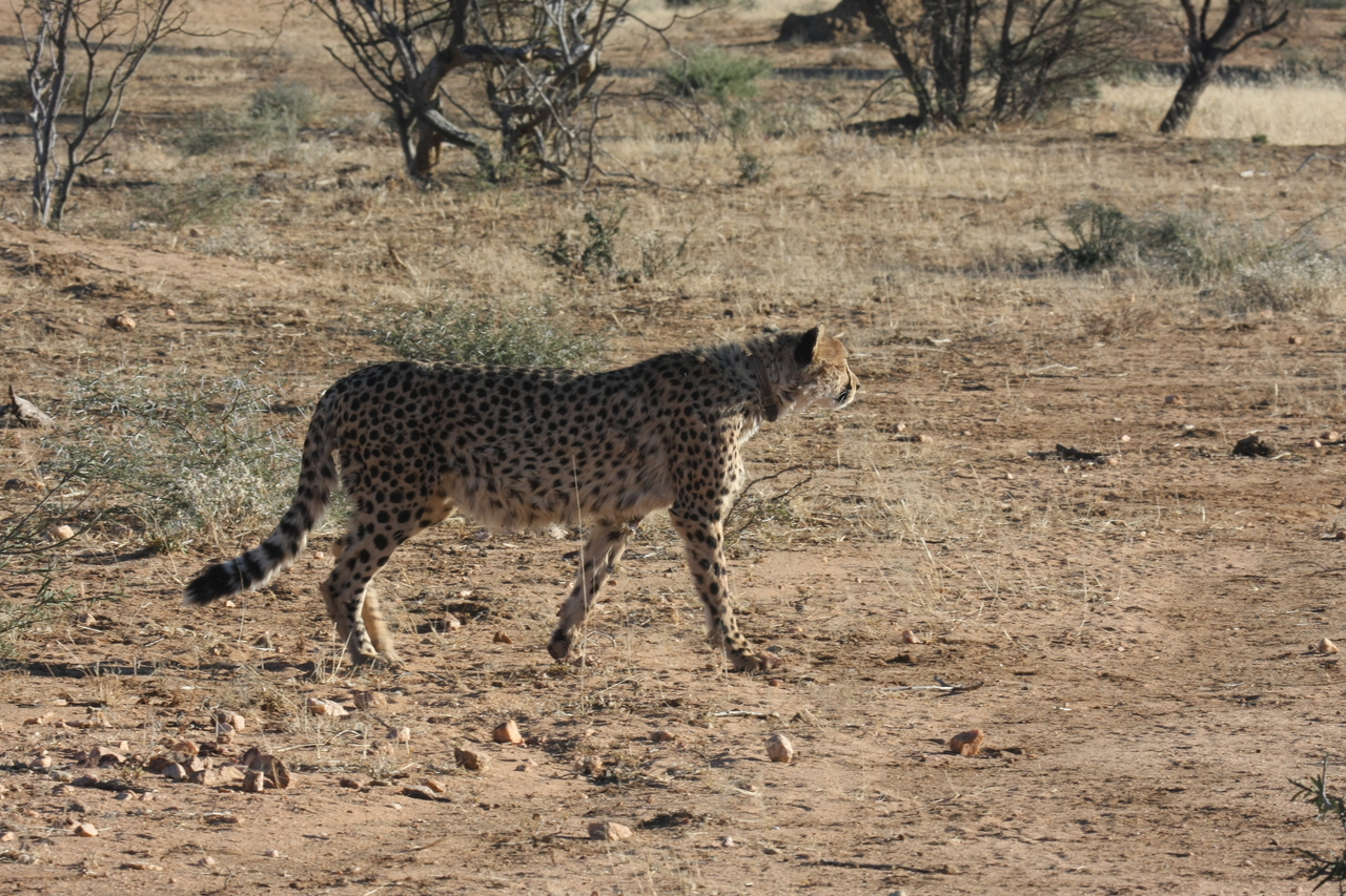 [1219] 2016_06_22_02_56_09_Africa_Canon_EOS_40D_IMG__07679.jpg