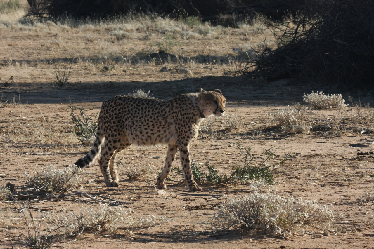 [1221] 2016_06_22_02_56_16_Africa_Canon_EOS_40D_IMG__00215.jpg