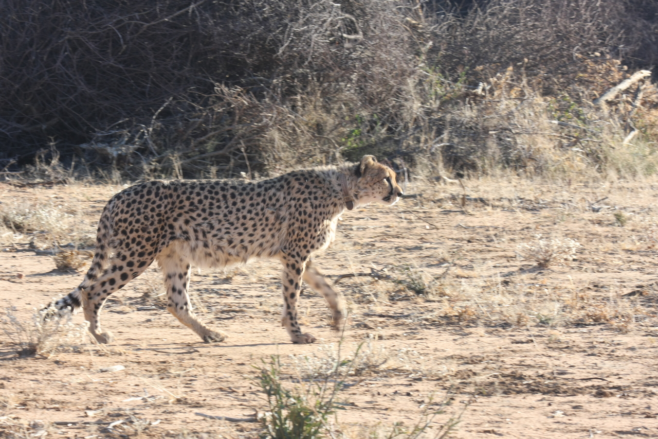 [1231] 2016_06_22_02_56_22_Africa_Canon_EOS_40D_IMG__07683.jpg