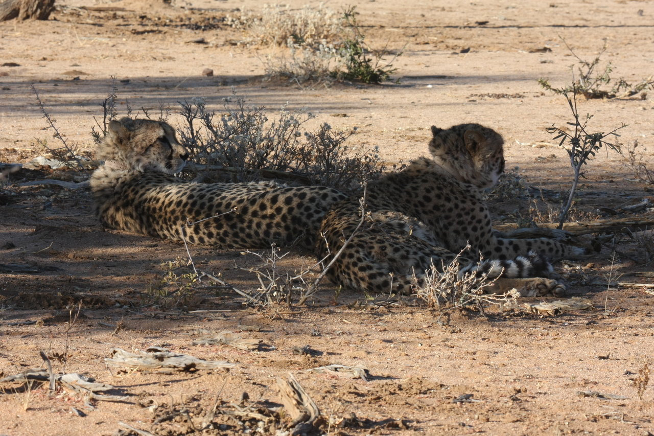 [1247] 2016_06_22_02_59_28_Africa_Canon_EOS_40D_IMG__07687.jpg