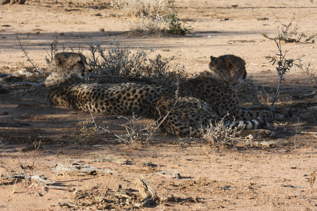 [1249] 2016_06_22_02_59_29_Africa_Canon_EOS_40D_IMG__00241.jpg