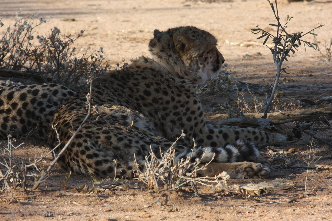 [1252] 2016_06_22_02_59_35_Africa_Canon_EOS_40D_IMG__00224.jpg