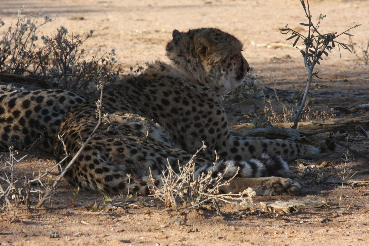 [1258] 2016_06_22_02_59_37_Africa_Canon_EOS_40D_IMG__00244.jpg