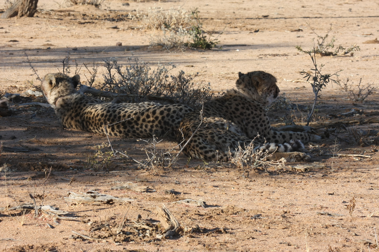 [1265] 2016_06_22_03_00_04_Africa_Canon_EOS_40D_IMG__00246.jpg