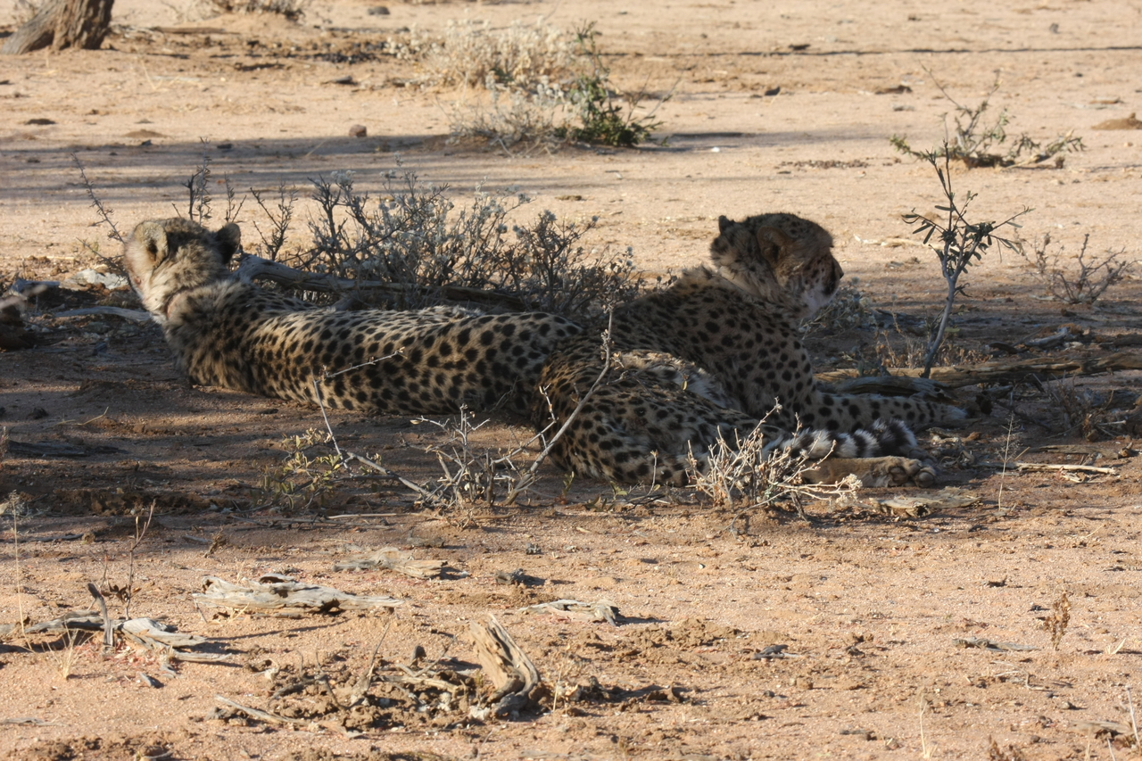 [1266] 2016_06_22_03_00_04_Africa_Canon_EOS_40D_IMG__00247.jpg