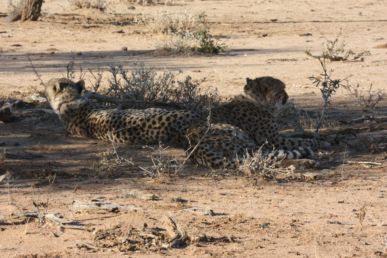 [1271] 2016_06_22_03_00_05_Africa_Canon_EOS_40D_IMG__07695.jpg