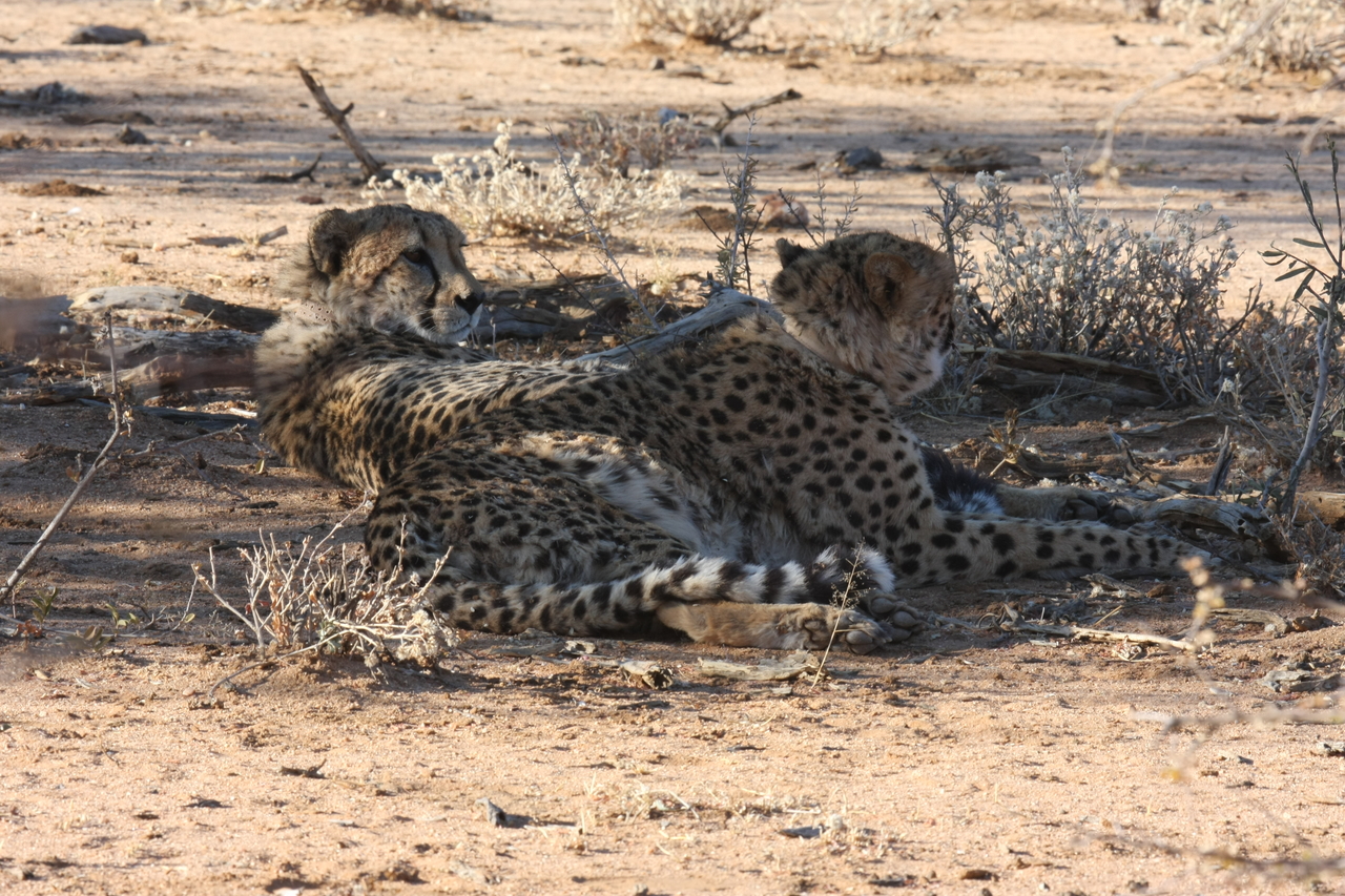 [1275] 2016_06_22_03_00_26_Africa_Canon_EOS_40D_IMG__00231.jpg