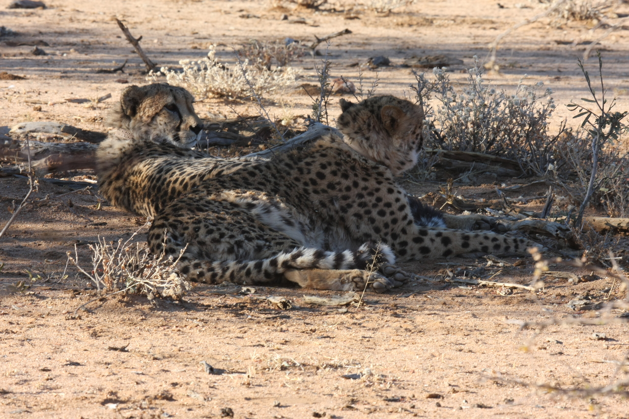 [1278] 2016_06_22_03_00_26_Africa_Canon_EOS_40D_IMG__07696.jpg