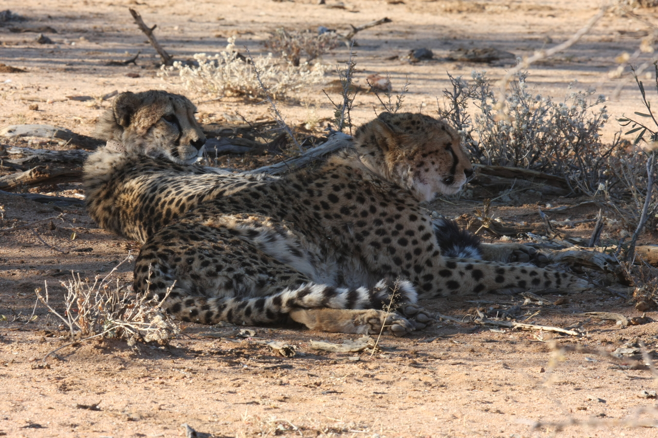 [1285] 2016_06_22_03_00_43_Africa_Canon_EOS_40D_IMG__07699.jpg