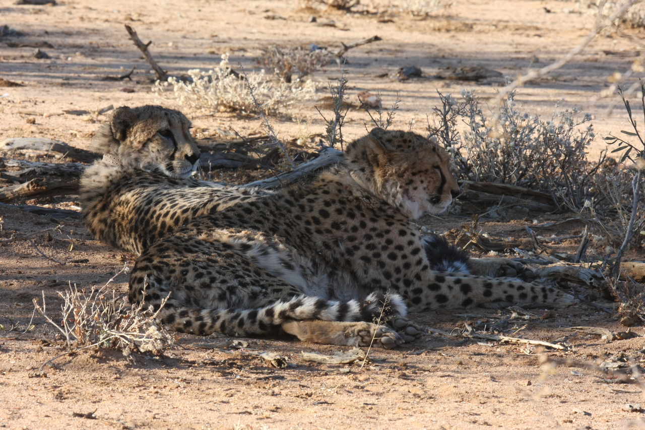 [1288] 2016_06_22_03_00_50_Africa_Canon_EOS_40D_IMG__00253.jpg