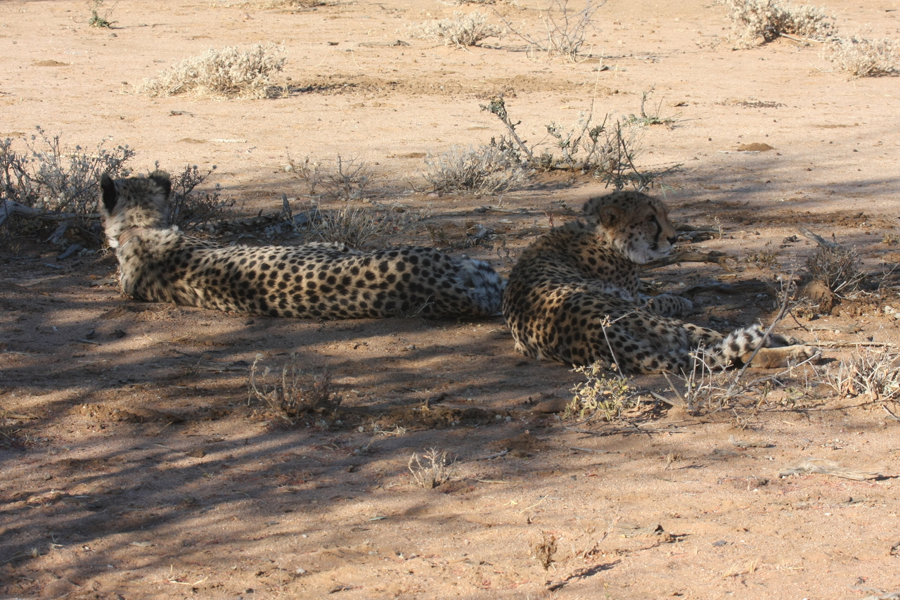 [1344] 2016_06_22_03_03_04_Africa_Canon_EOS_40D_IMG__00270.jpg