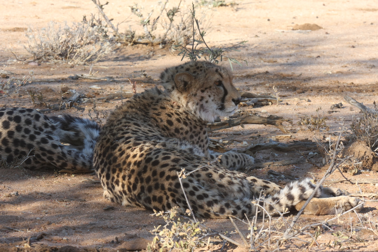 [1350] 2016_06_22_03_03_22_Africa_Canon_EOS_40D_IMG__00272.jpg