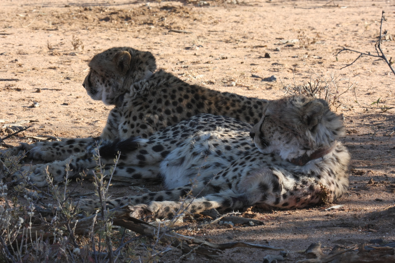 [1380] 2016_06_22_03_04_34_Africa_Canon_EOS_40D_IMG__07728.jpg